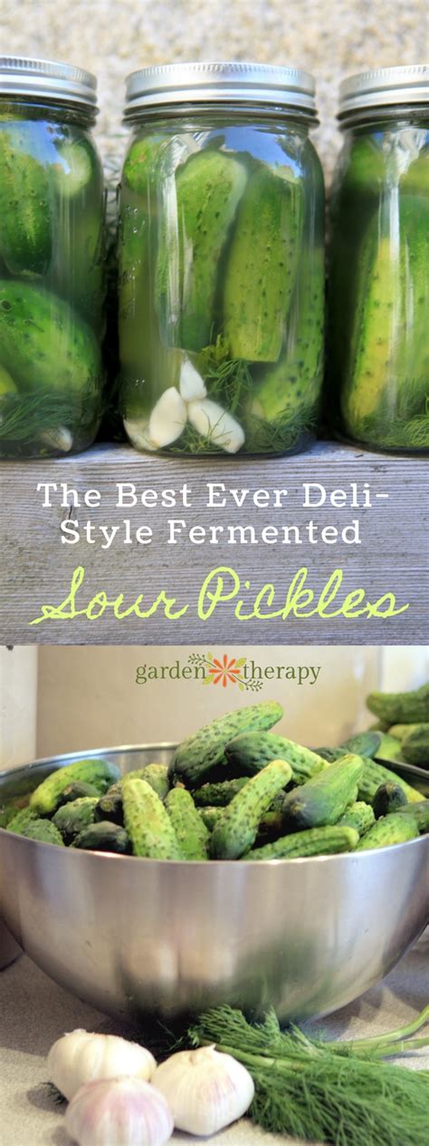 pickle recipe sour.